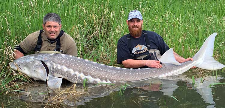 Sturgeon Fishing