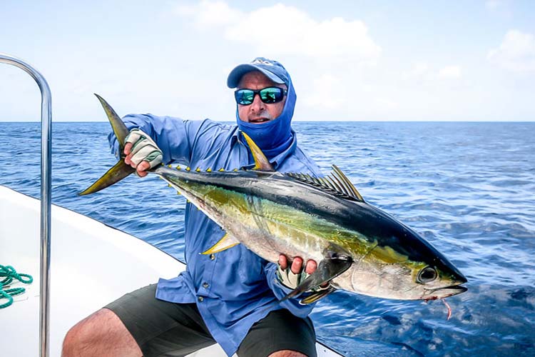 Yellowfin tuna