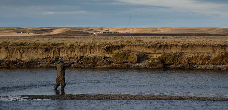 Sea Trout Fishing 