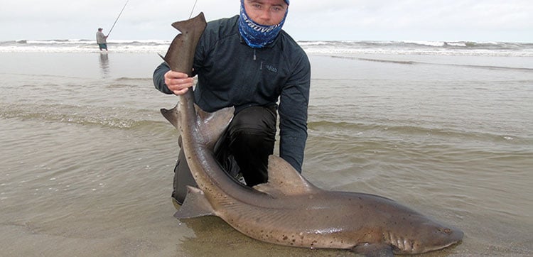 Shark Fishing Namibia