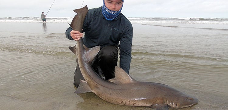 Shark Fishing Namibia 