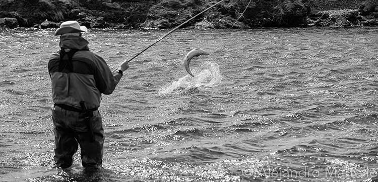 SEA TROUT FISHING