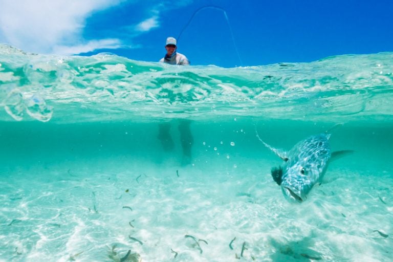 Fly Fishing Cosmoledo Atoll