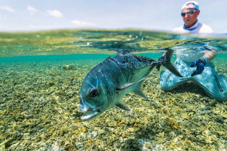 Fly Fishing Cosmoledo Atoll