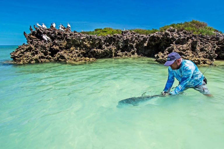 Fly Fishing Cosmoledo Atoll