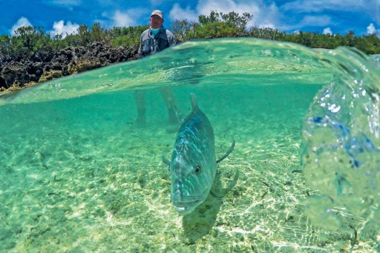 Bonefishing Cosmoledo Atoll