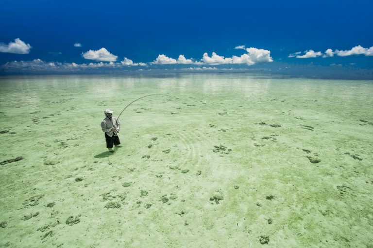 GT Fly Fishing Seychelles