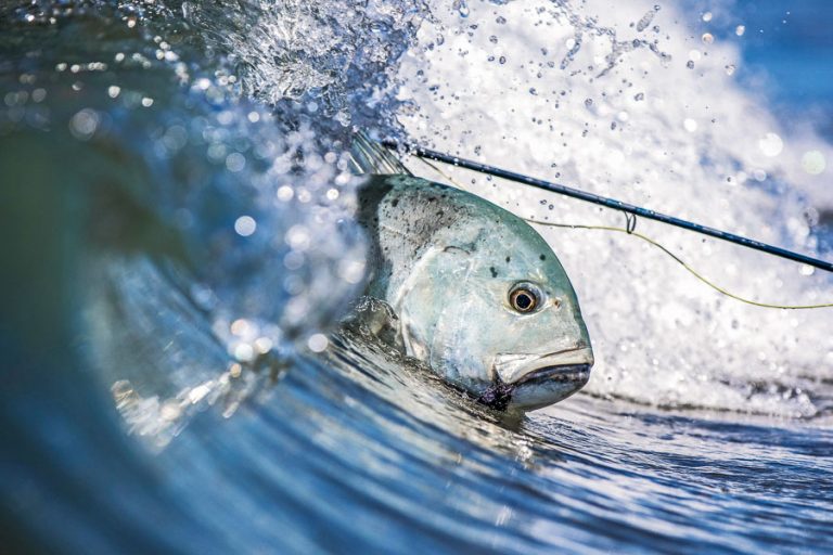 GT Fly Fishing Seychelles