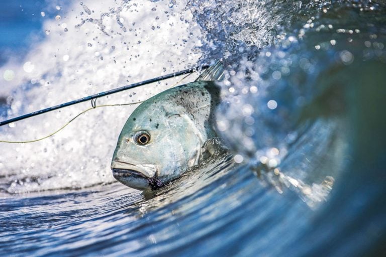 GT Fly Fishing Seychelles