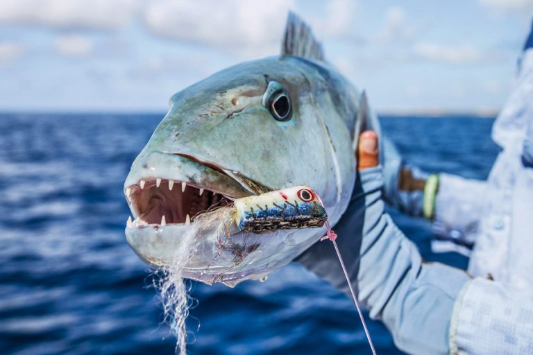 GT Fly Fishing Seychelles