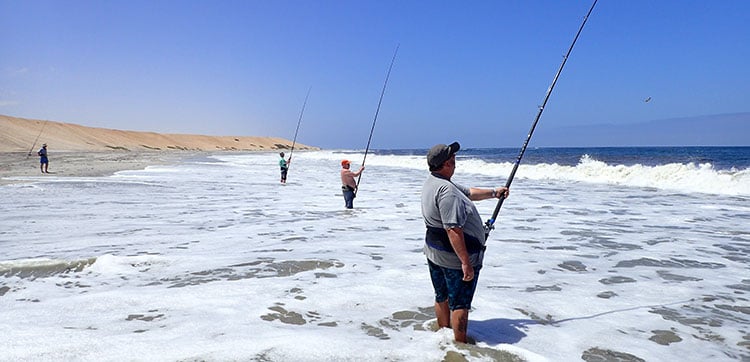 Shark Fishing Namibia 