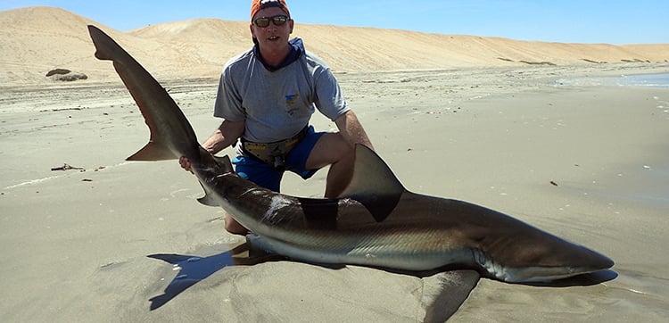 Shore Shark Fishing Namibia