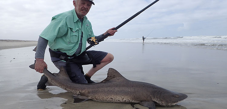 Shark Fishing Namibia 