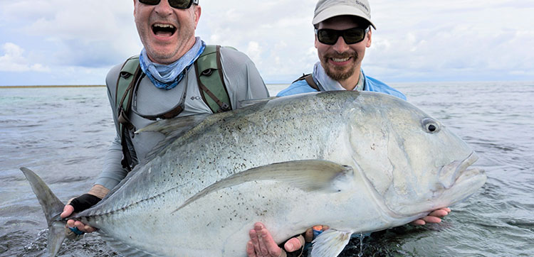 Sailfish Fishing Seychelles