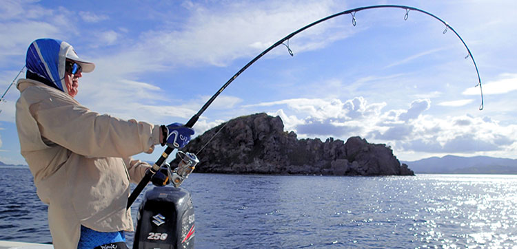 Fishing In The Sun