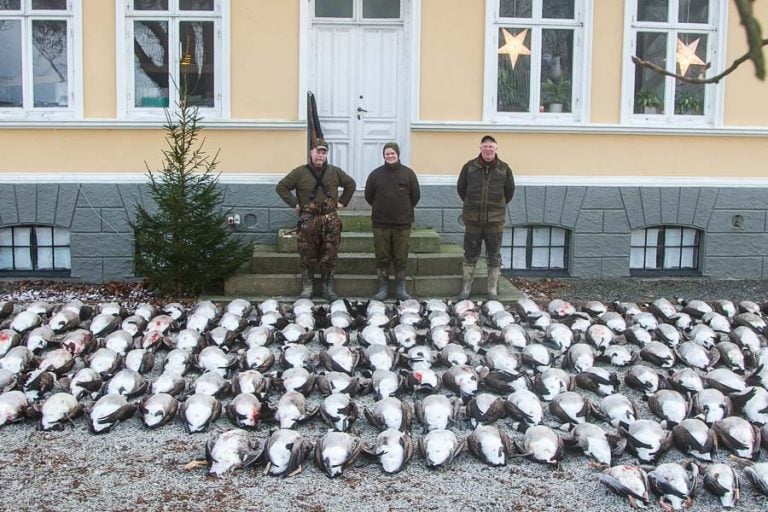 Goose Shooting Scandinavia