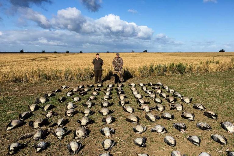 Goose Shooting Scandinavia