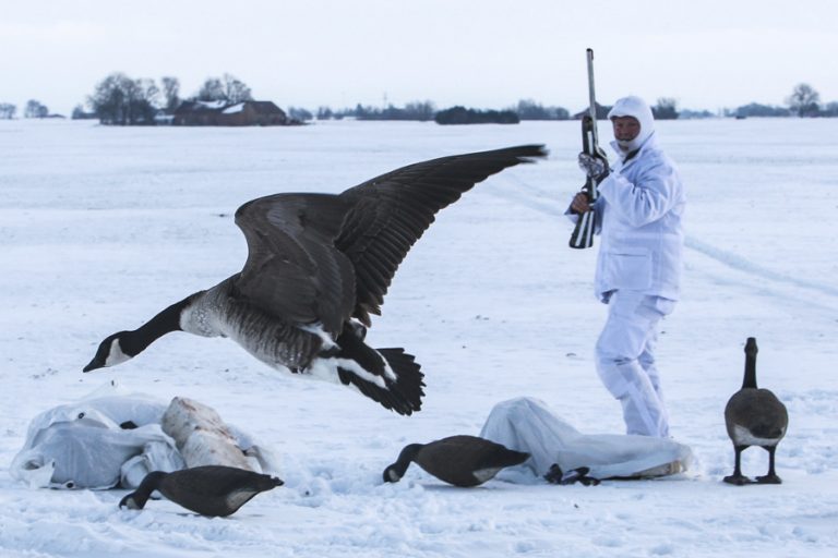 Goose Shooting Scandinavia