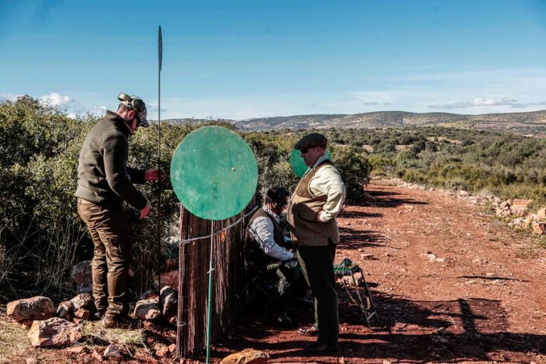 Partridge Shooting Spain