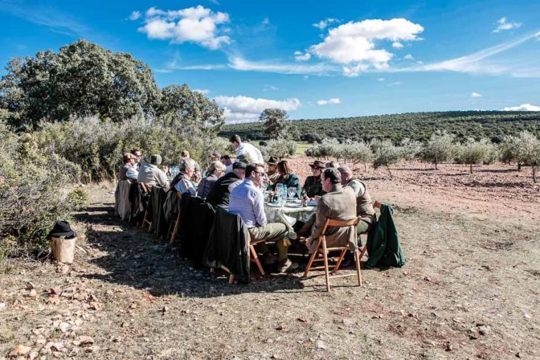 Partridge Shooting Spain