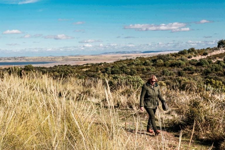 Partridge Shooting Spain