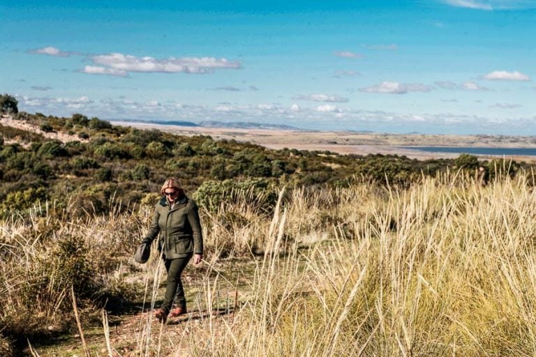 Partridge Shooting Spain
