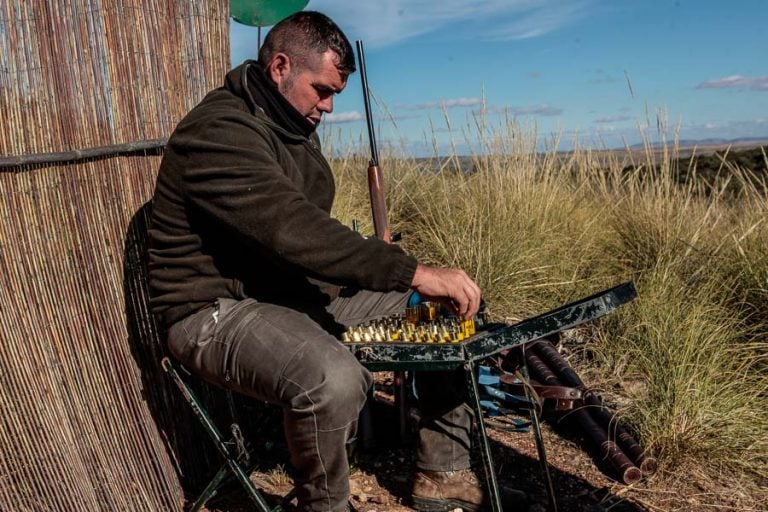 Partridge Shooting Spain