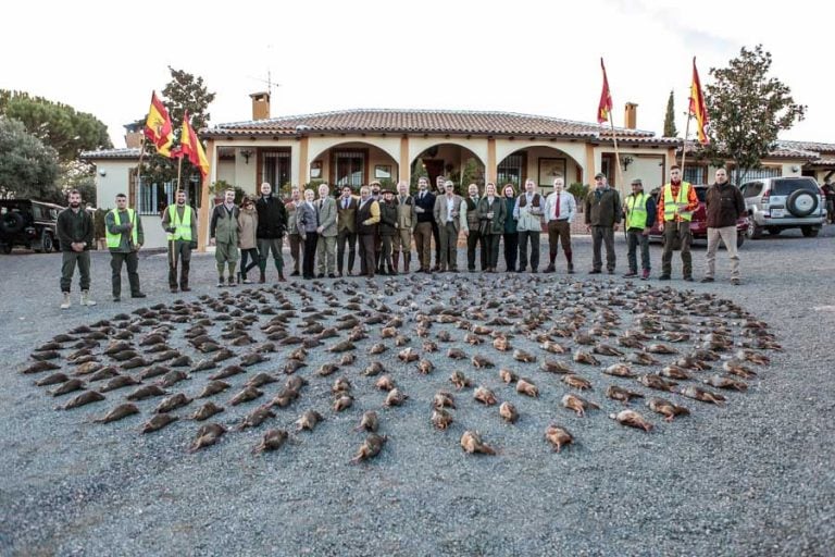 Partridge Shooting Spain