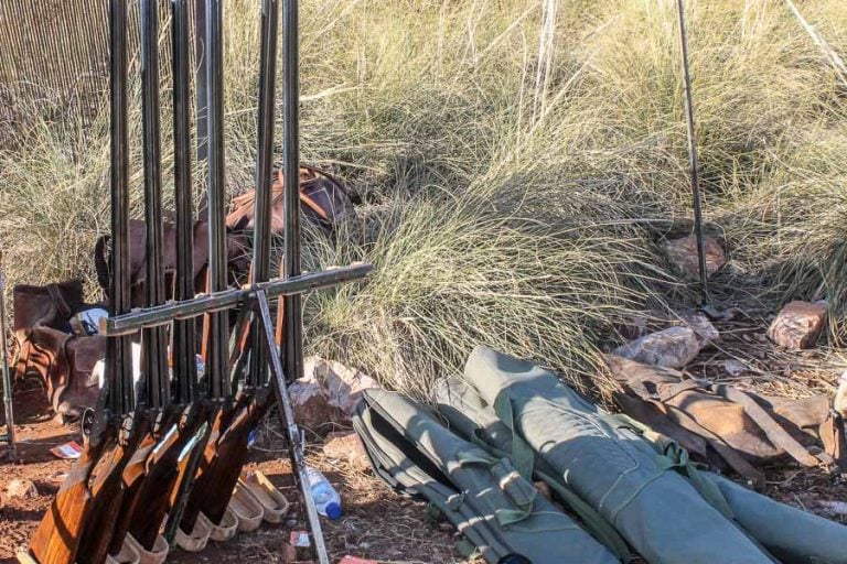 Partridge Shooting Spain