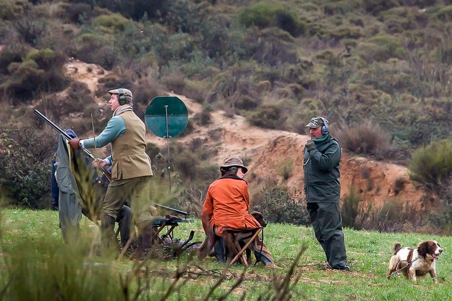 Partridge Shooting in Spain