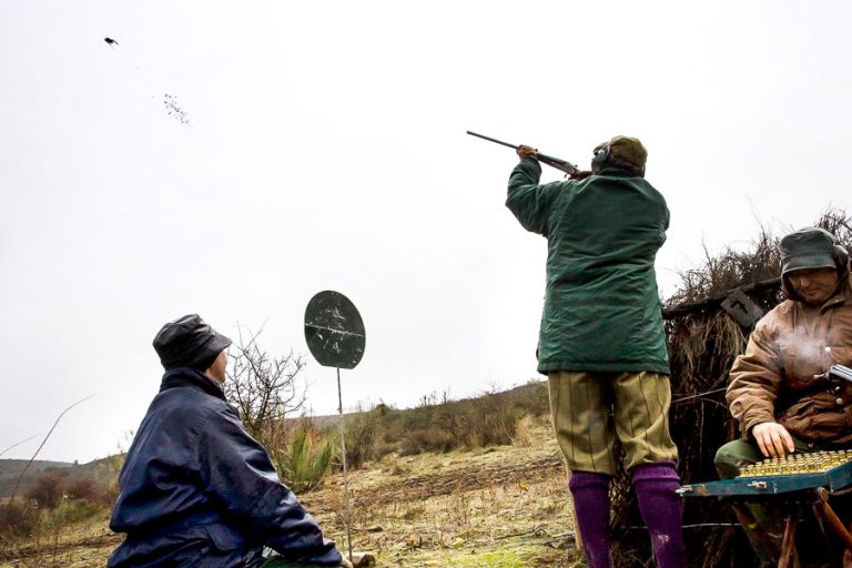 Partridge Shooting in Spain