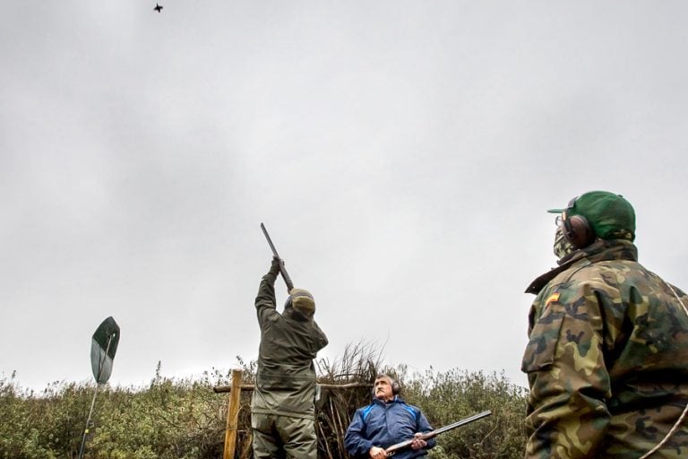 Partridge Shooting in Spain