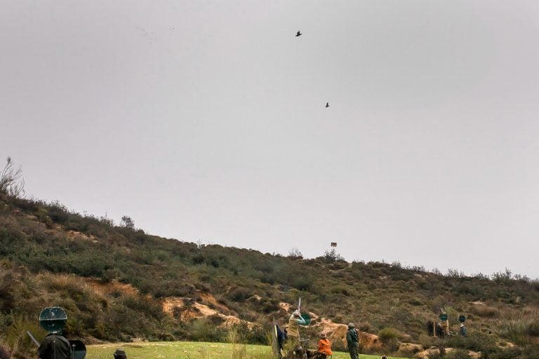 Partridge Shooting in Spain