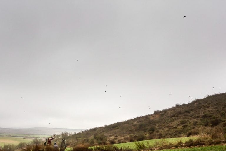 Partridge Shooting in Spain