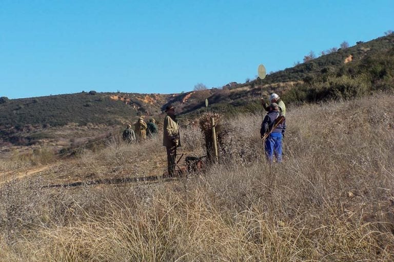 Partridge Shooting in Spain