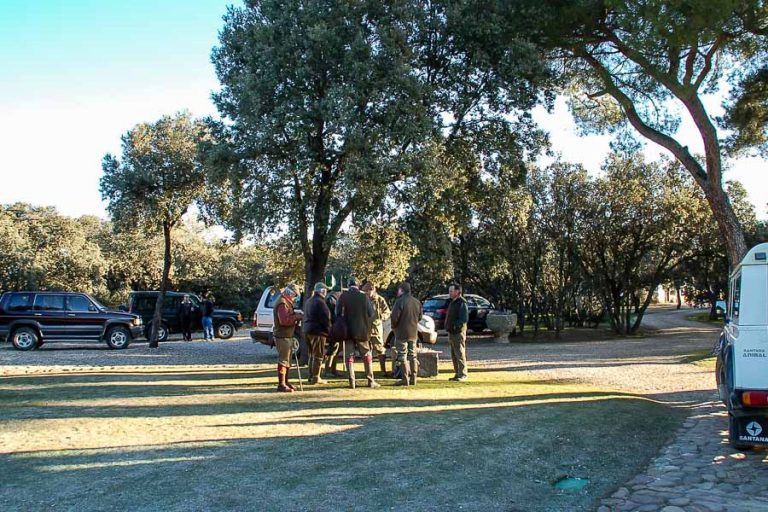 Partridge Shooting Tarancon Spain