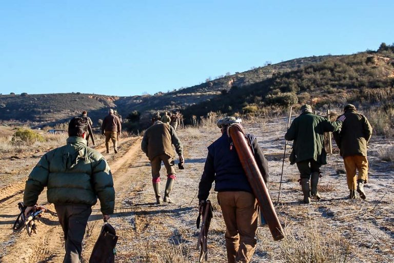 Partridge Shooting Tarancon Spain