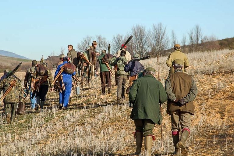 Partridge Shooting Tarancon Spain