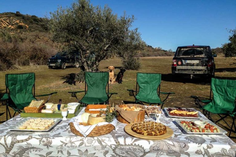 Partridge Shooting Tarancon Spain