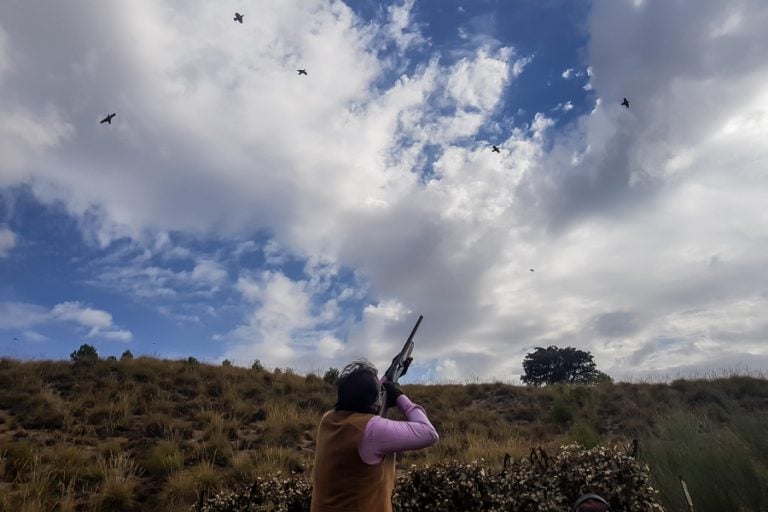 Partridge Shooting Tarancon Spain