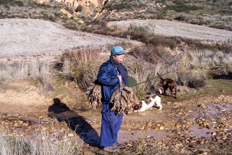 Partridge Shooting in Spain