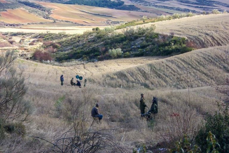 Partridge Shooting Tarancon Spain