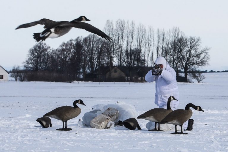 Wildfowling Combo Scandinavia