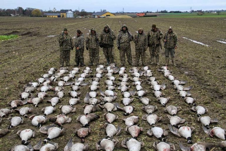 Wildfowling Combo Scandinavia