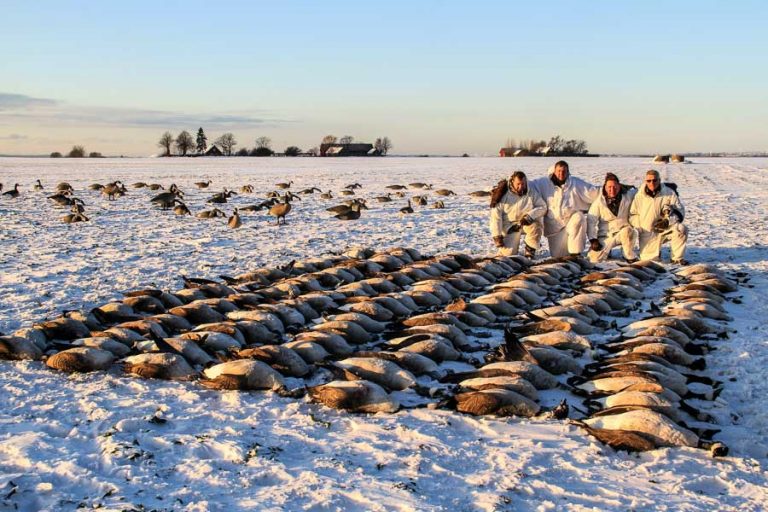 Wildfowling Combo Scandinavia