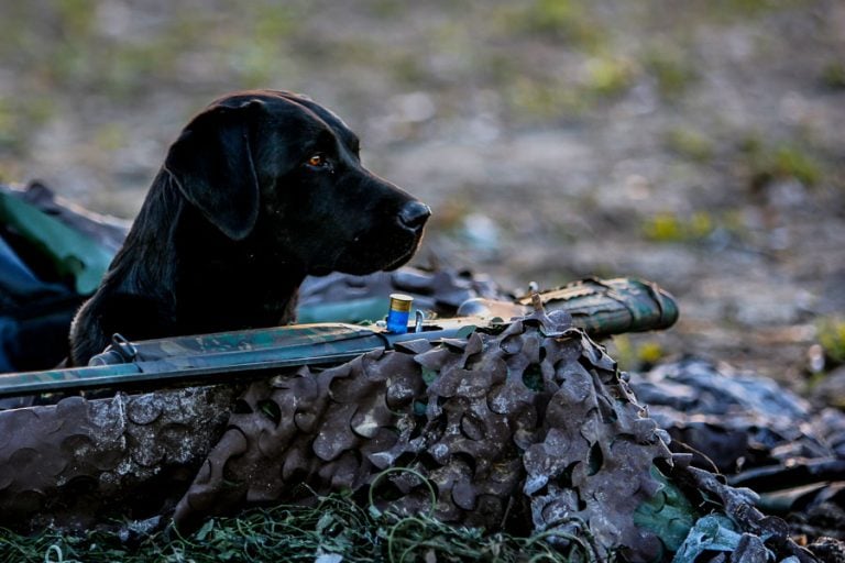 Wildfowling Combo Scandinavia