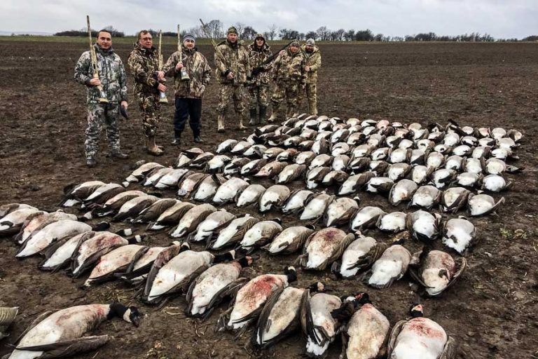 Wildfowling Combo Scandinavia