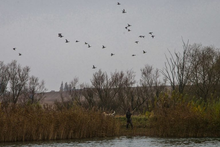 Wildfowling Combo Scandinavia