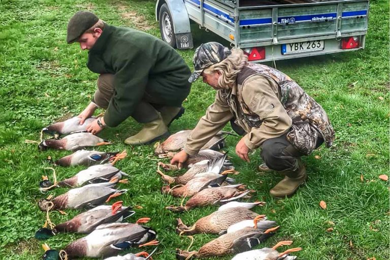 Wildfowling Combo Scandinavia