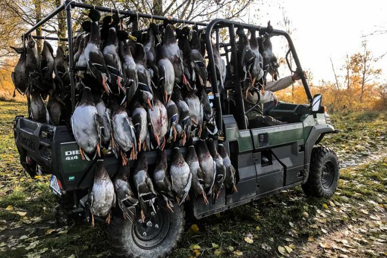 Wildfowling Combo Scandinavia